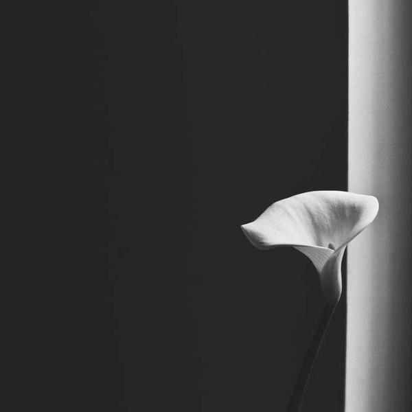 A picture containing white

Description automatically generated