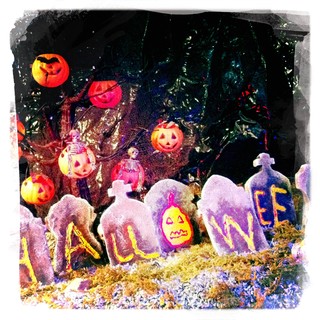 Cover of Halloween